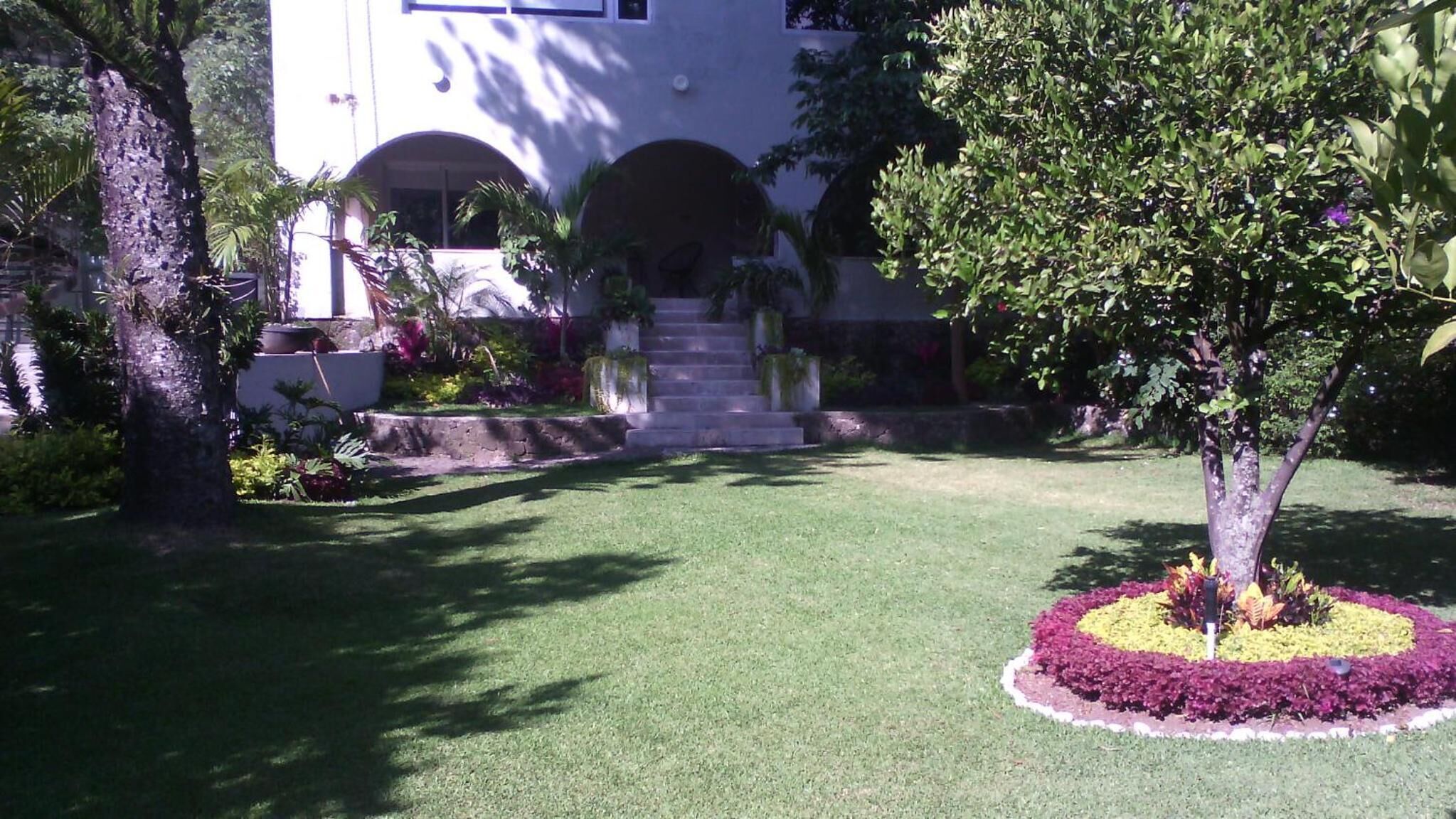 Un jardín bien cuidado con césped, un árbol y un edificio con una escalera que lleva a la entrada.