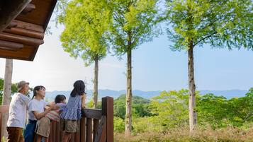Ferienhaus, Nichtraucher (Log House) | Terrasse/Patio