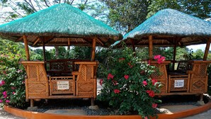 Un kiosque en bois avec un toit de chaume, entouré d’une végétation luxuriante et de fleurs roses.