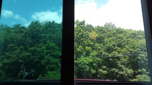 Room, Mountain View (YouTube & Netflix available using personal account) | 客房景觀