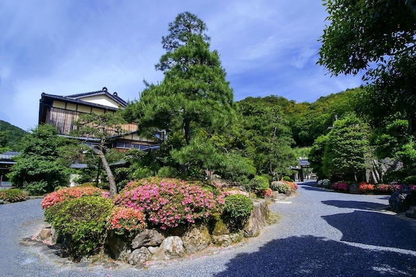 Jardin