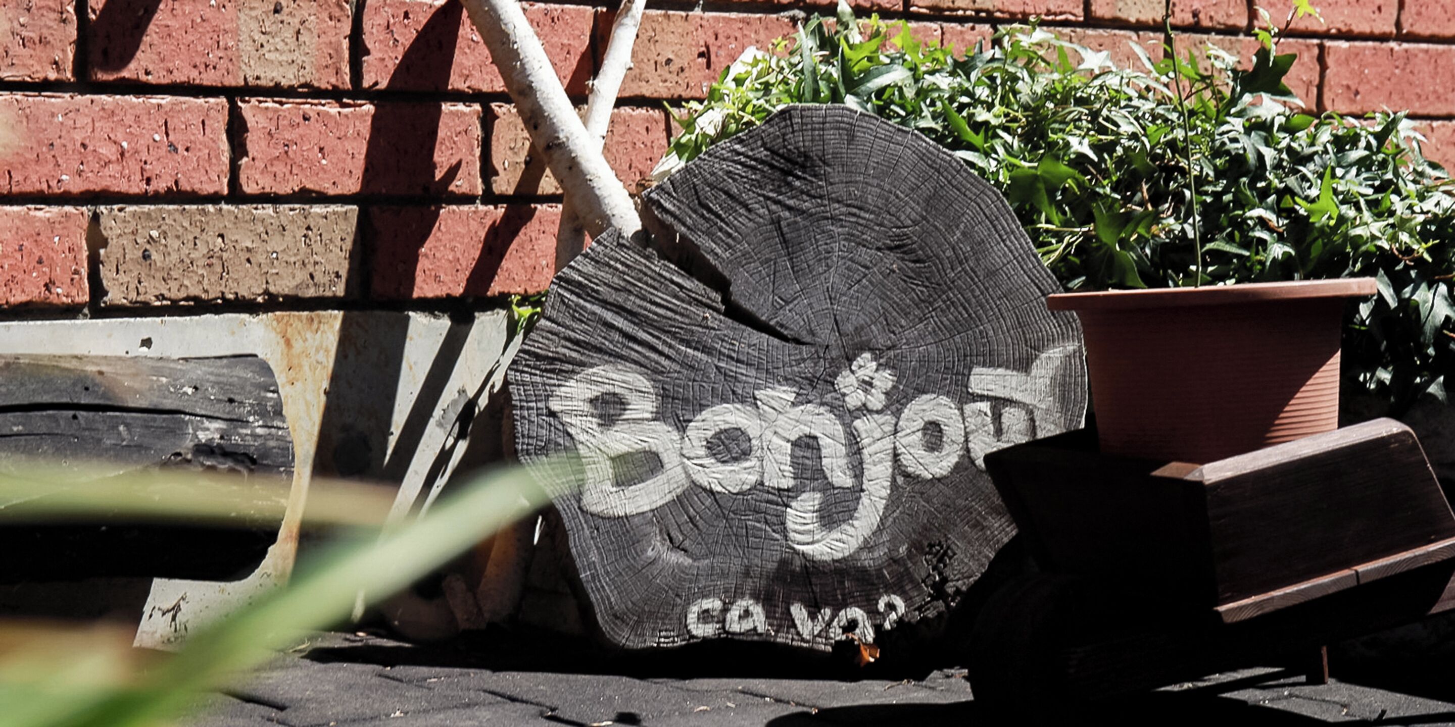 A wooden bench with a sign that reads "Benjamins" and a potted plant beside it.