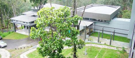 A modern building with a flat roof, surrounded by lush greenery and a paved driveway.