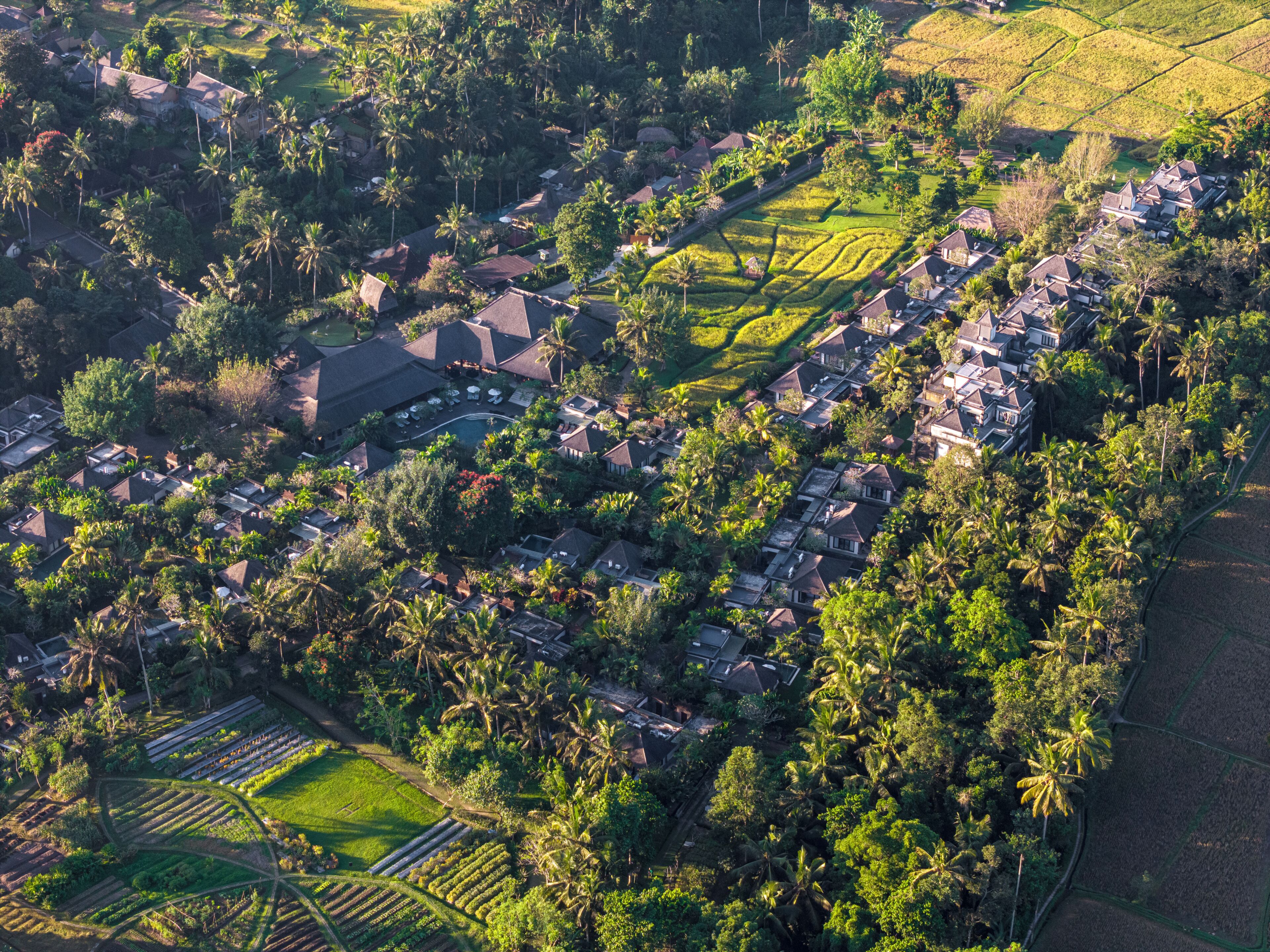 Vue aérienne d’un quartier résidentiel avec des maisons, une végétation luxuriante et des champs en terrasses.