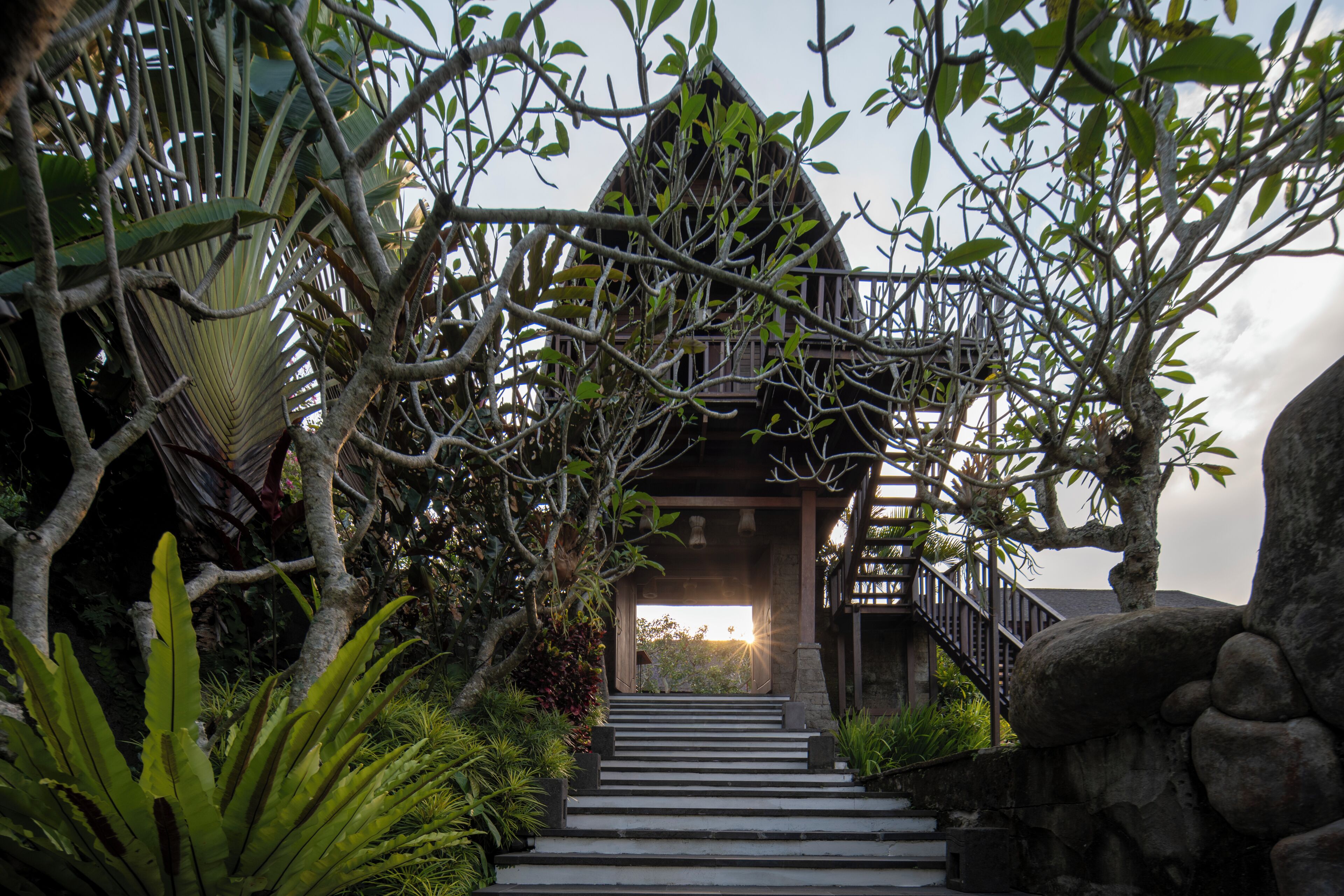 A staircase leading to a wooden building with a balcony, surrounded by tropical vegetation.
