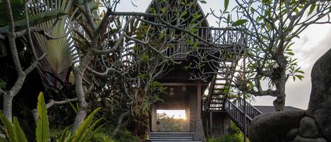 A staircase leading to a wooden building with a balcony, surrounded by tropical vegetation.