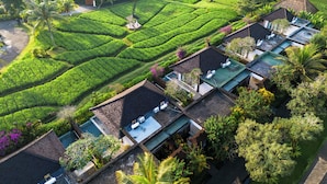 A resort with multiple villas, each with a private pool and surrounded by lush gardens and terraced fields. - Visesa Ubud Resort (Ubud)