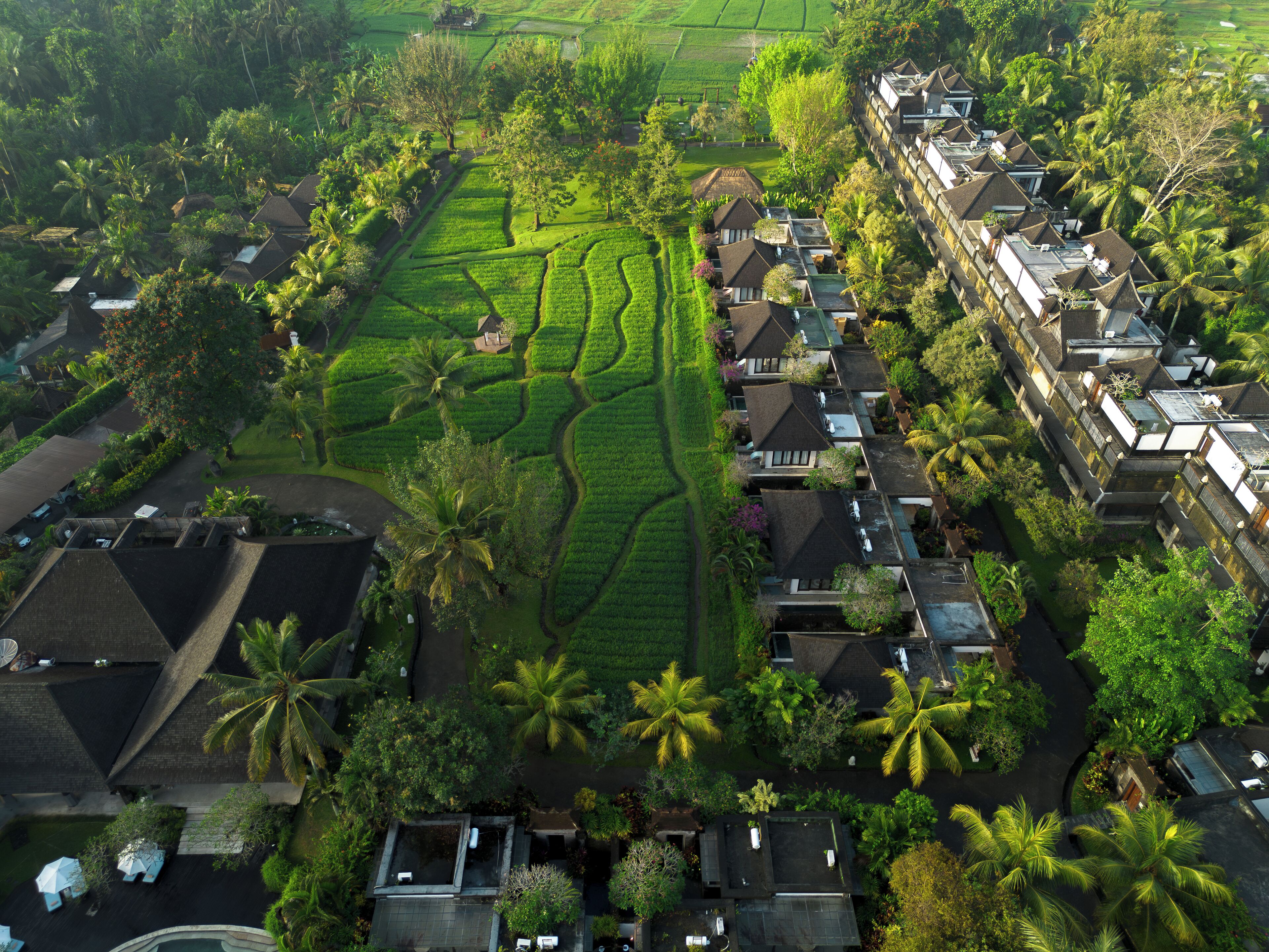 An aerial view of a residential area with terraced fields and houses with sloped roofs.