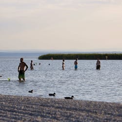 Lake view