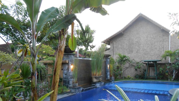A swimming pool surrounded by lush greenery and a stone wall. - Praschita Bali (Denpasar)