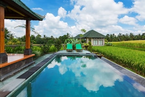 A swimming pool with two green lounge chairs, surrounded by lush greenery and a house in the background.