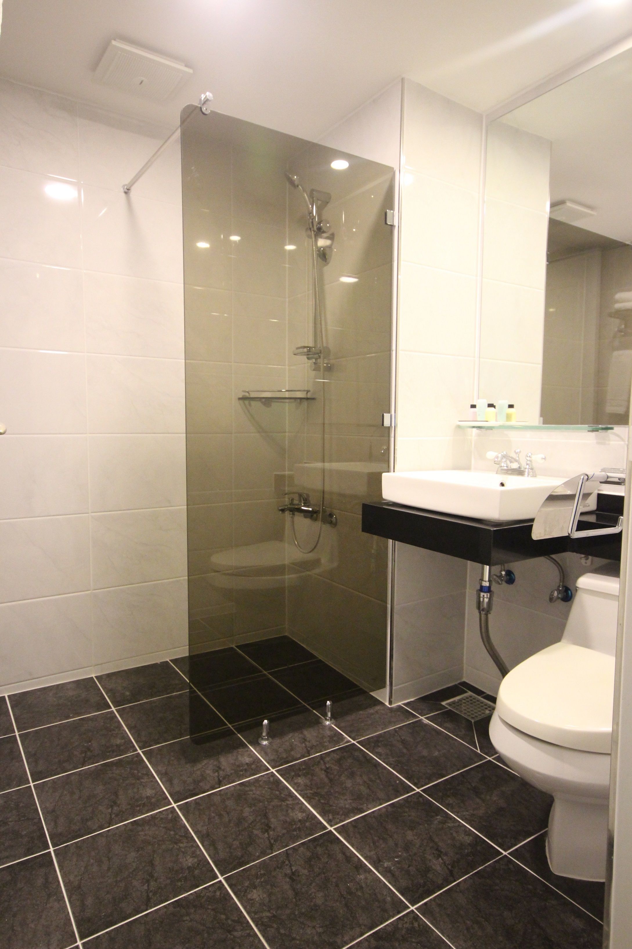 shower, hair dryer, bathrobes, slippers