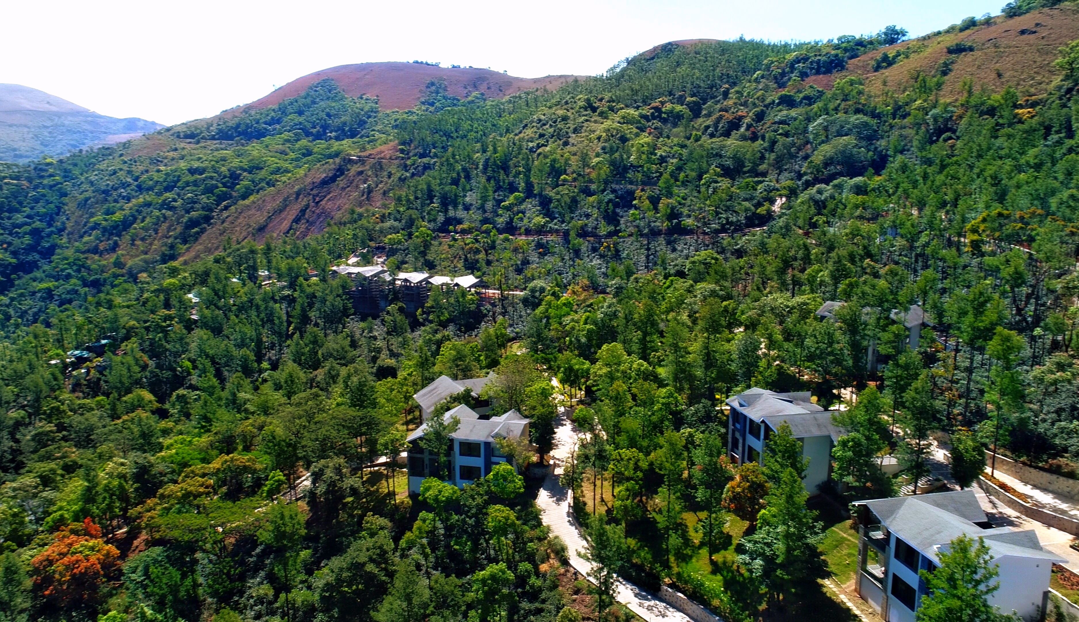 A mountainous area with dense forest and several modern buildings with flat roofs.