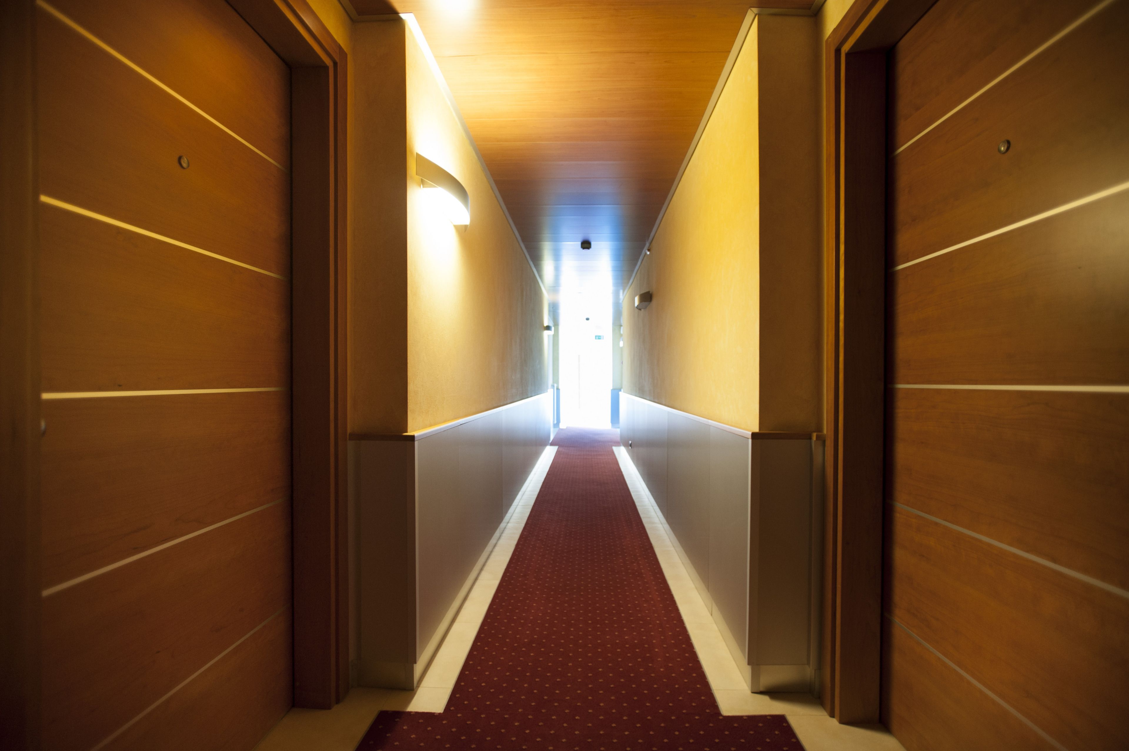 Un pasillo con paredes de madera y una alfombra roja que lleva a una salida luminosa.