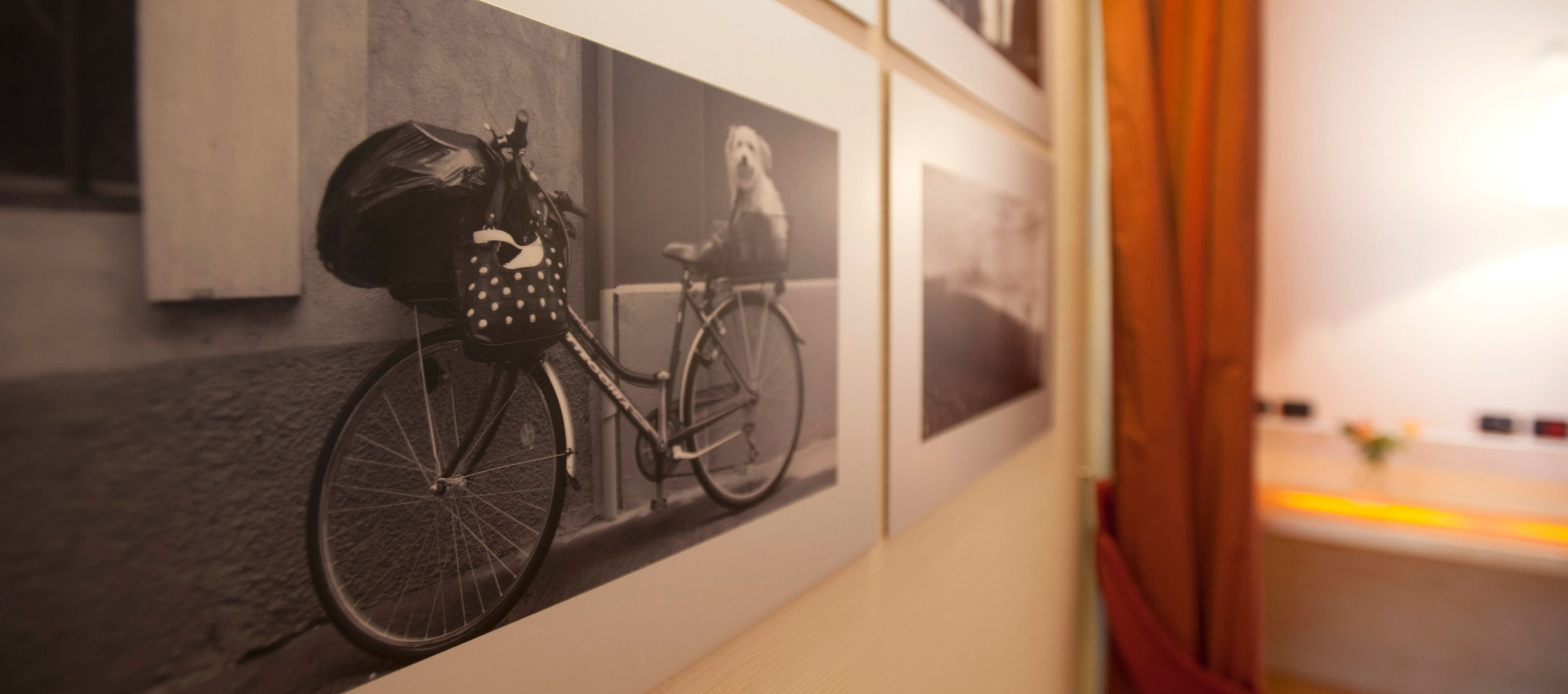 Pared con fotografías enmarcadas de bicicletas y un perro.
