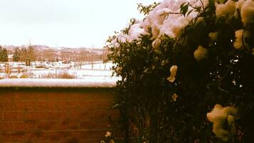 Un muro di mattoni con un tetto innevato e un cespuglio con fiori bianchi.