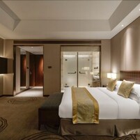 Una habitación de hotel con una cama grande, una mesita de noche, un espejo y un armario.