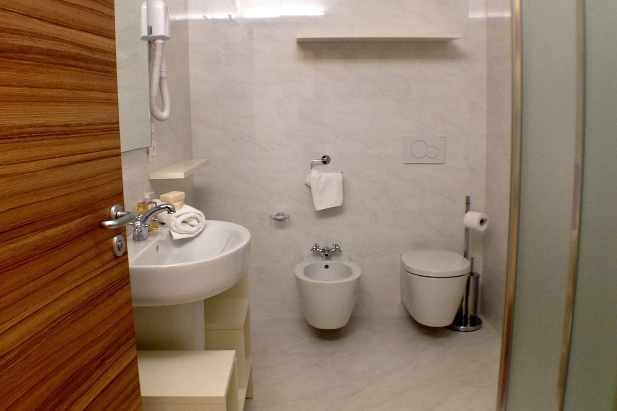 shower, free toiletries, hair dryer, towels