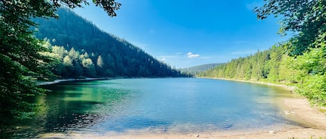 Lac