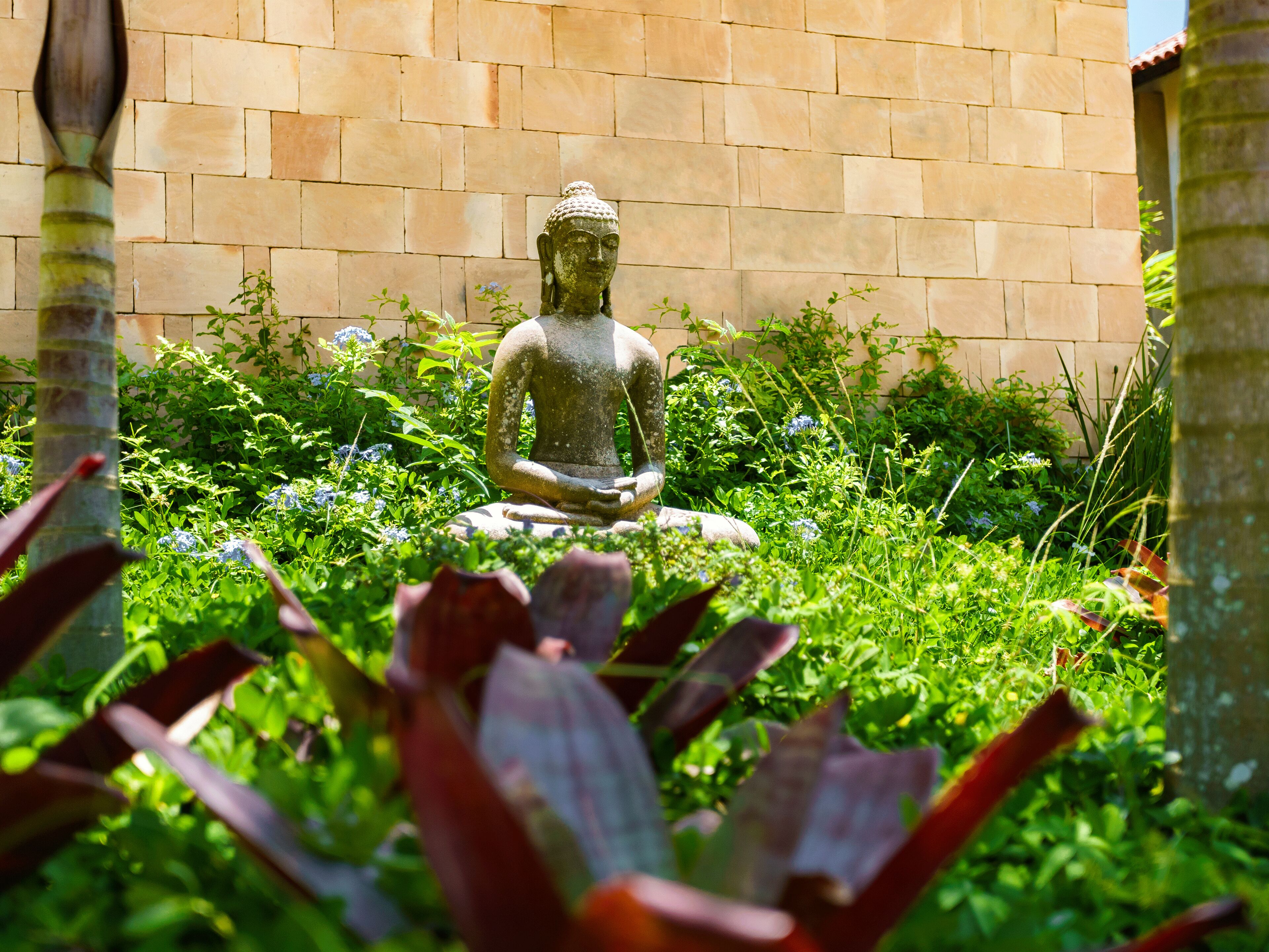 A statue of a seated figure in a garden with a brick wall in the background.