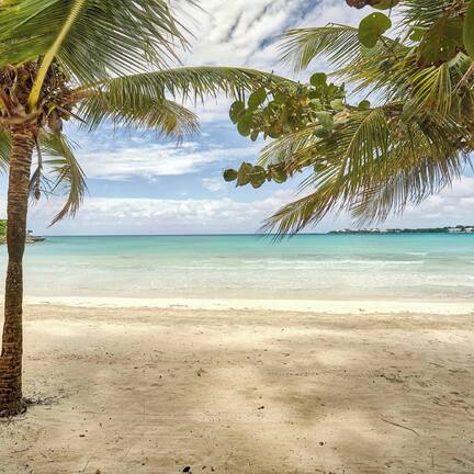On the beach, white sand, sun loungers, beach umbrellas