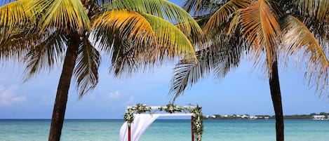 Outdoor wedding area