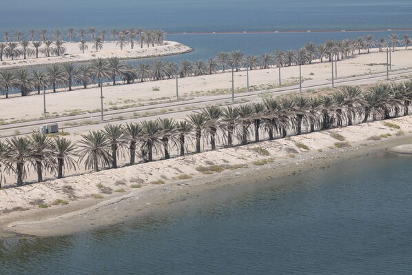 A coastal area with a sandy beach, palm trees, and a road running parallel to the shore. - Golden Tulip Al Khobar Suites (Al Khobar)