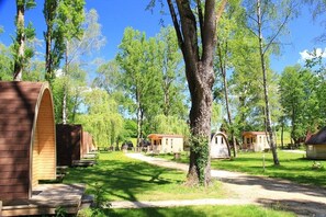 Reception - Le Petit Robinson (Champvert)