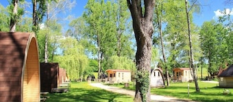Le Petit Robinson