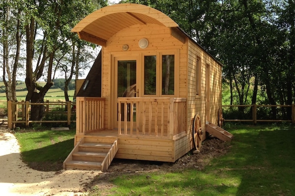 Ropa de cama de alta calidad y cortinas blackout