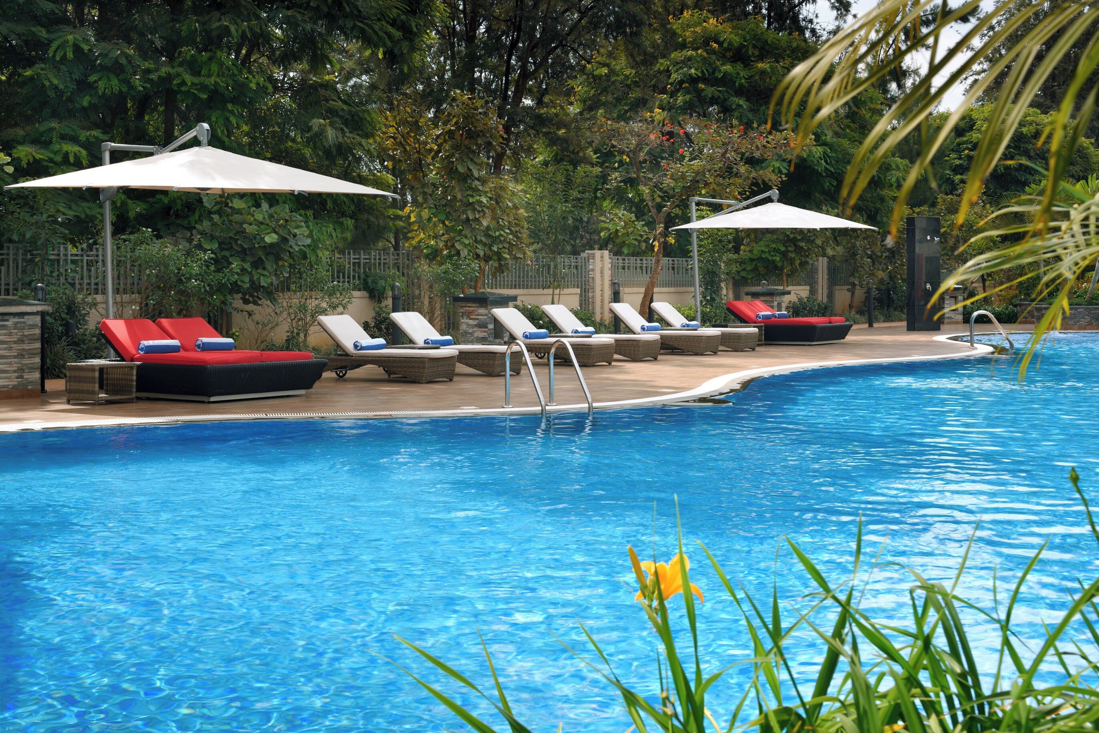 outdoor pool, open 6:00 am to 7:00 pm, pool umbrellas, pool loungers