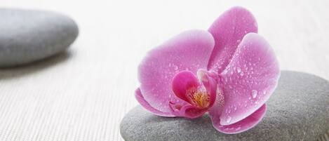 A pink orchid with water droplets on a textured surface, accompanied by smooth stones.