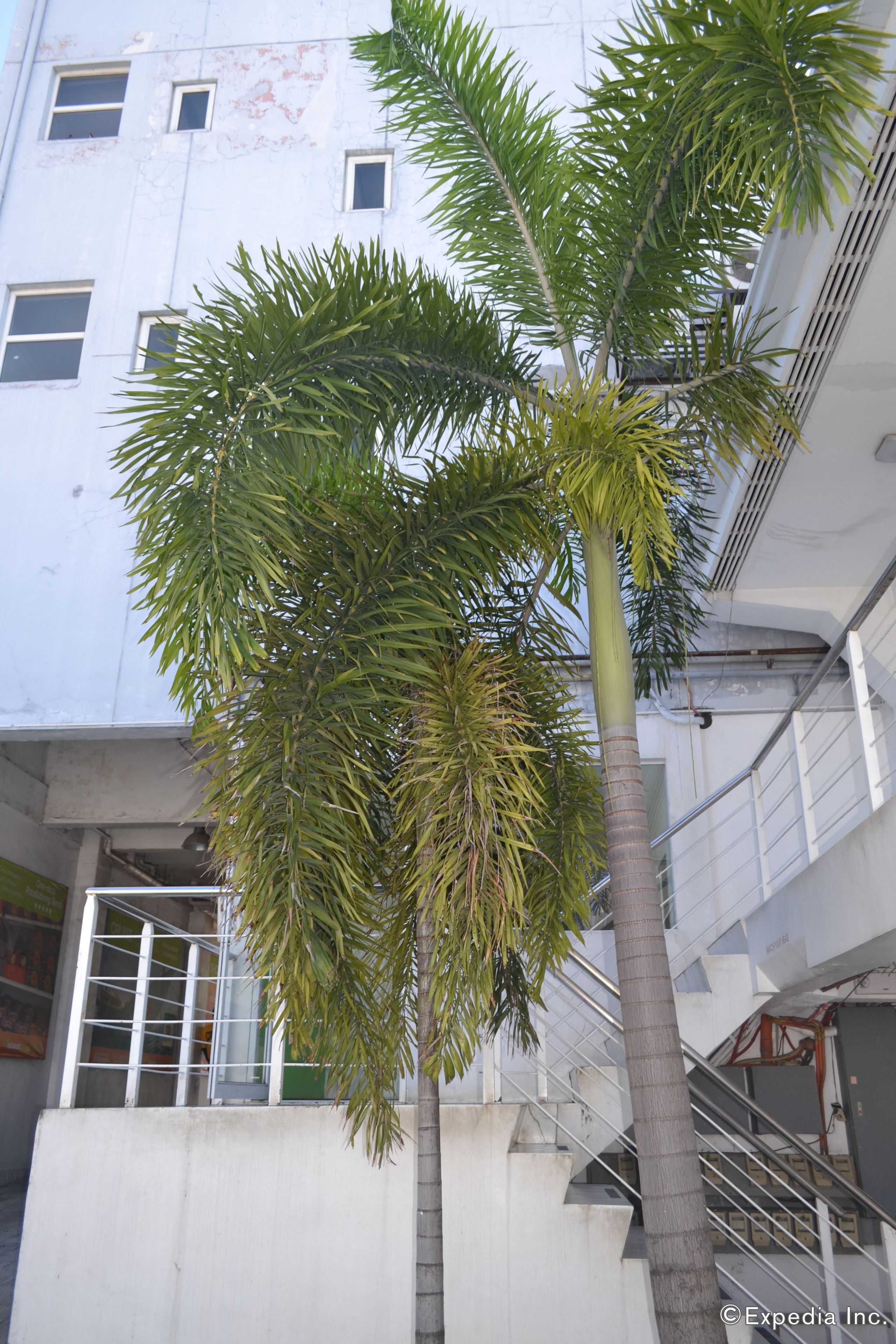 Chi tiết ngoại thất