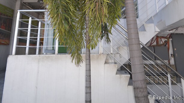 Een palmboom voor een gebouw met veel ramen en een trap.