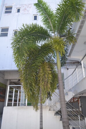 外觀細部