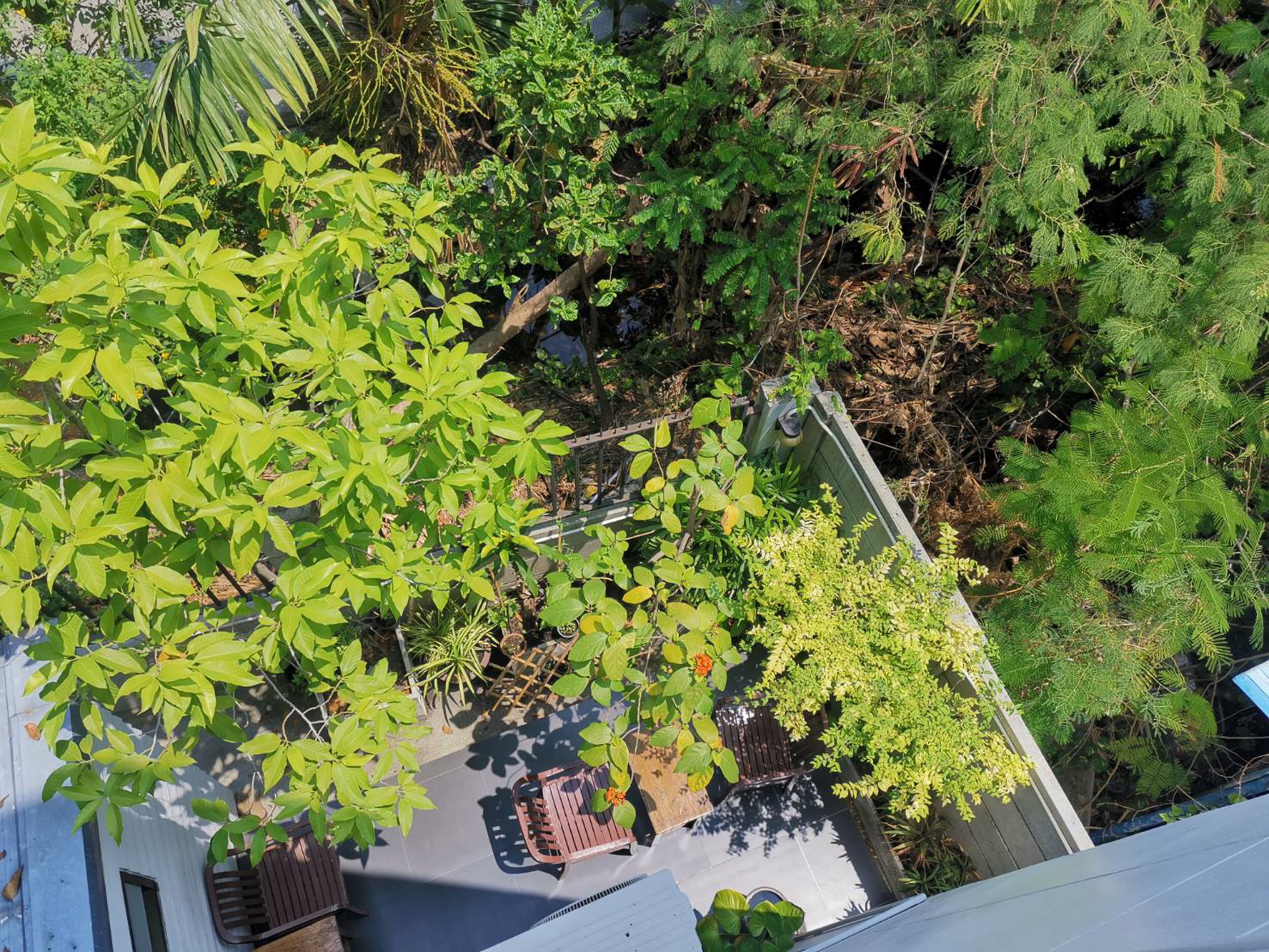 4 Bed Private Room | 花園景