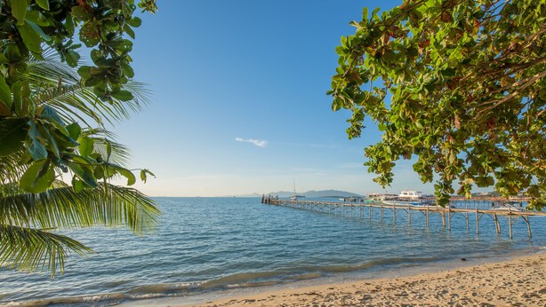 Ein Strand mit einer hölzernen Mole, die sich in ruhiges Wasser erstreckt, umgeben von Palmen.