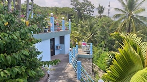 A blue building with a staircase leading to a balcony, surrounded by lush greenery and palm trees.