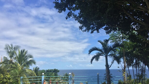 A coastal view with a patio area featuring a table and chairs, surrounded by potted plants and palm trees. - High Steps Pension (Catmon)