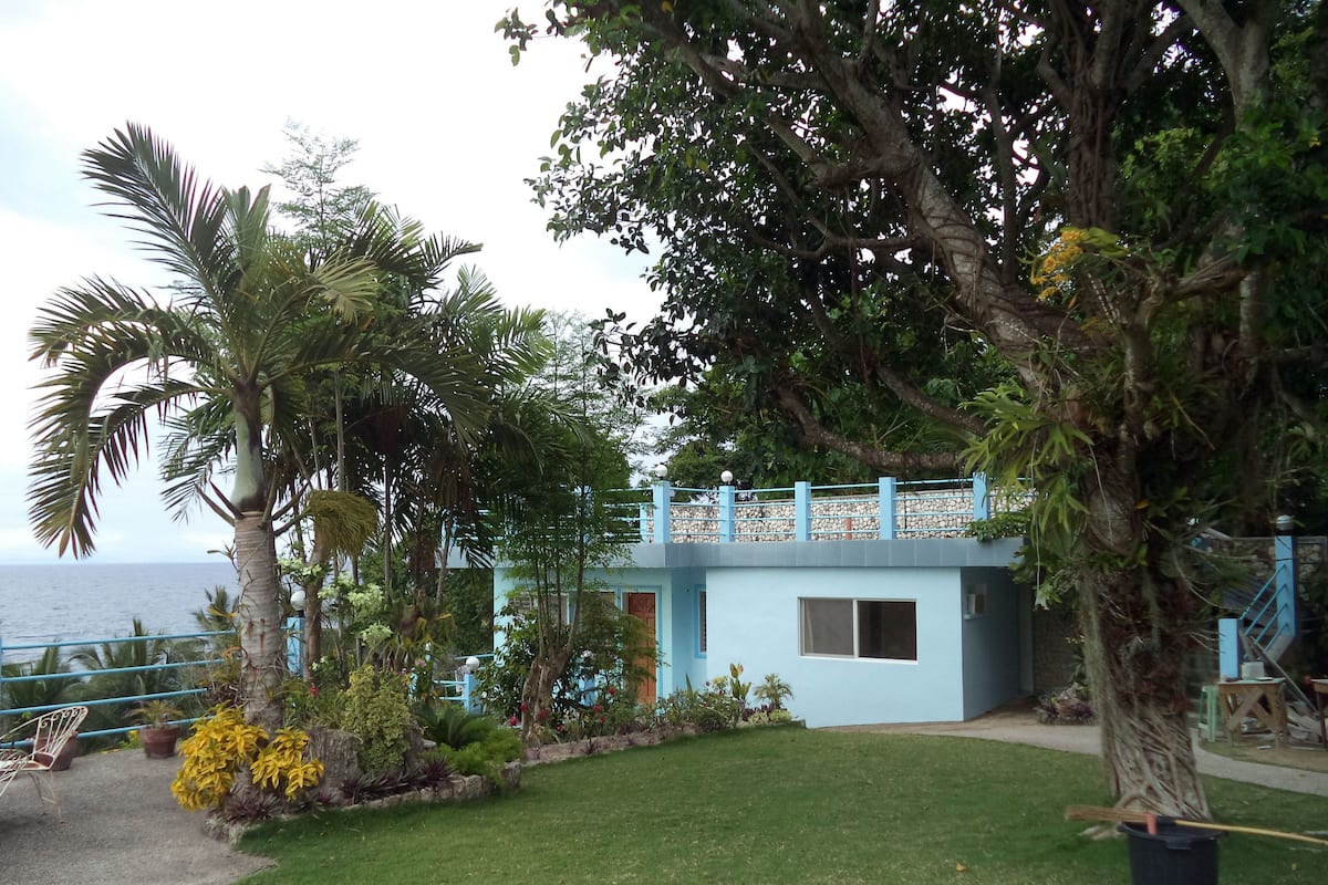 A coastal building with a blue exterior, surrounded by lush greenery and a view of the sea.