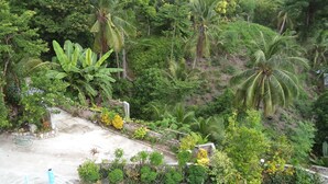 A lush garden with palm trees, a concrete pathway, and a swimming pool. - High Steps Pension (Catmon)