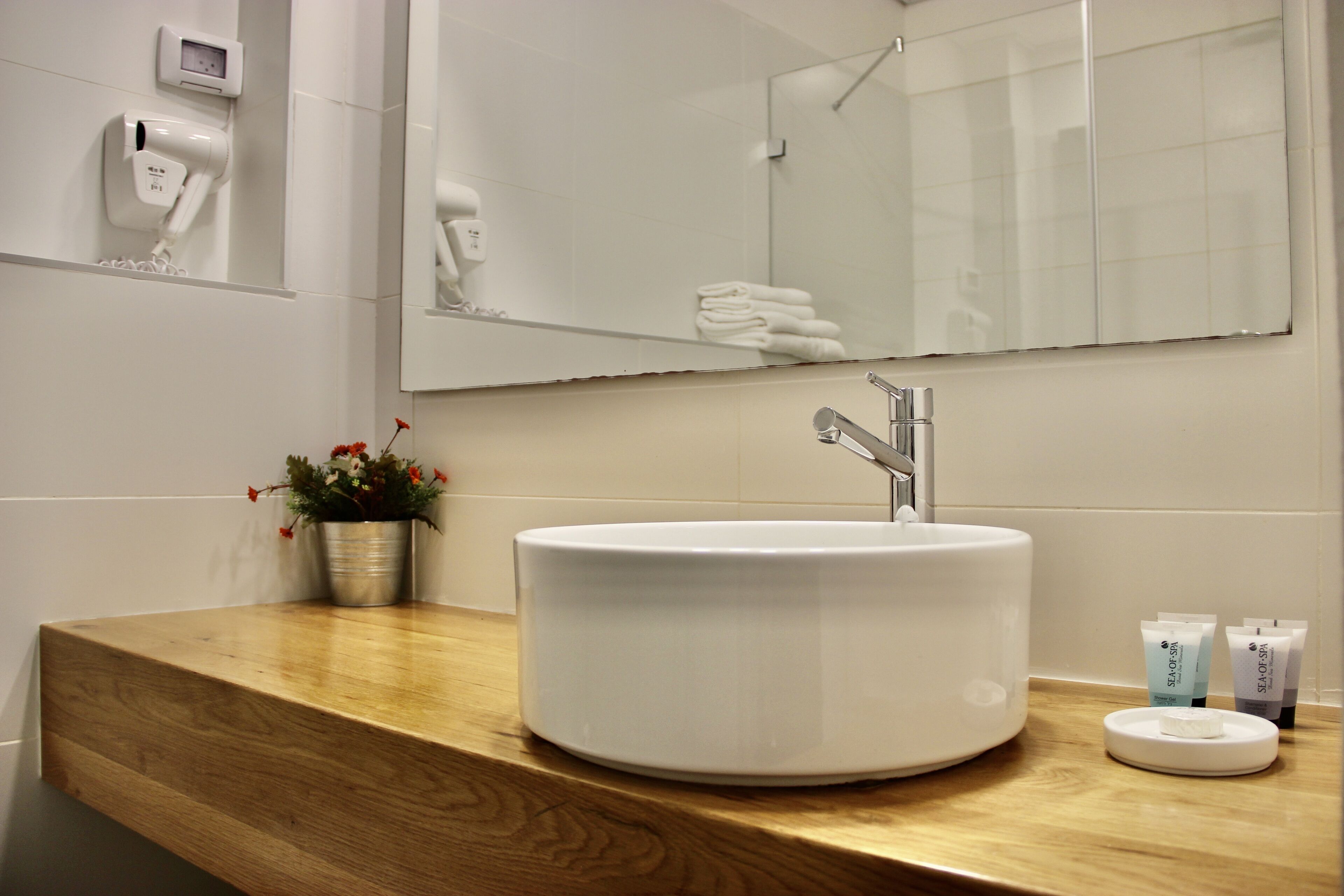 standard double or twin room | bathroom | shower, free toiletries, towels