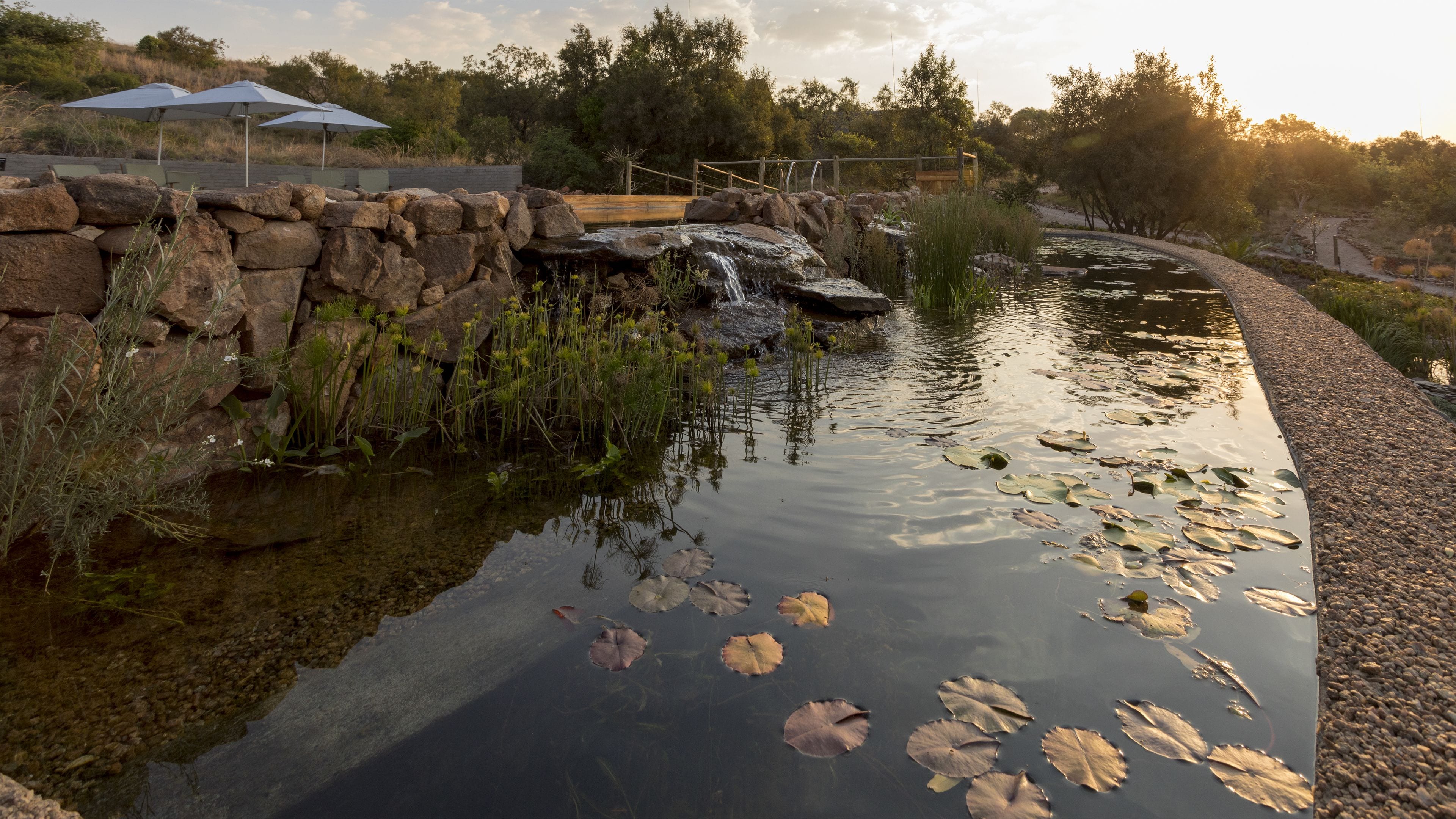 2 outdoor pools, pool umbrellas, pool loungers
