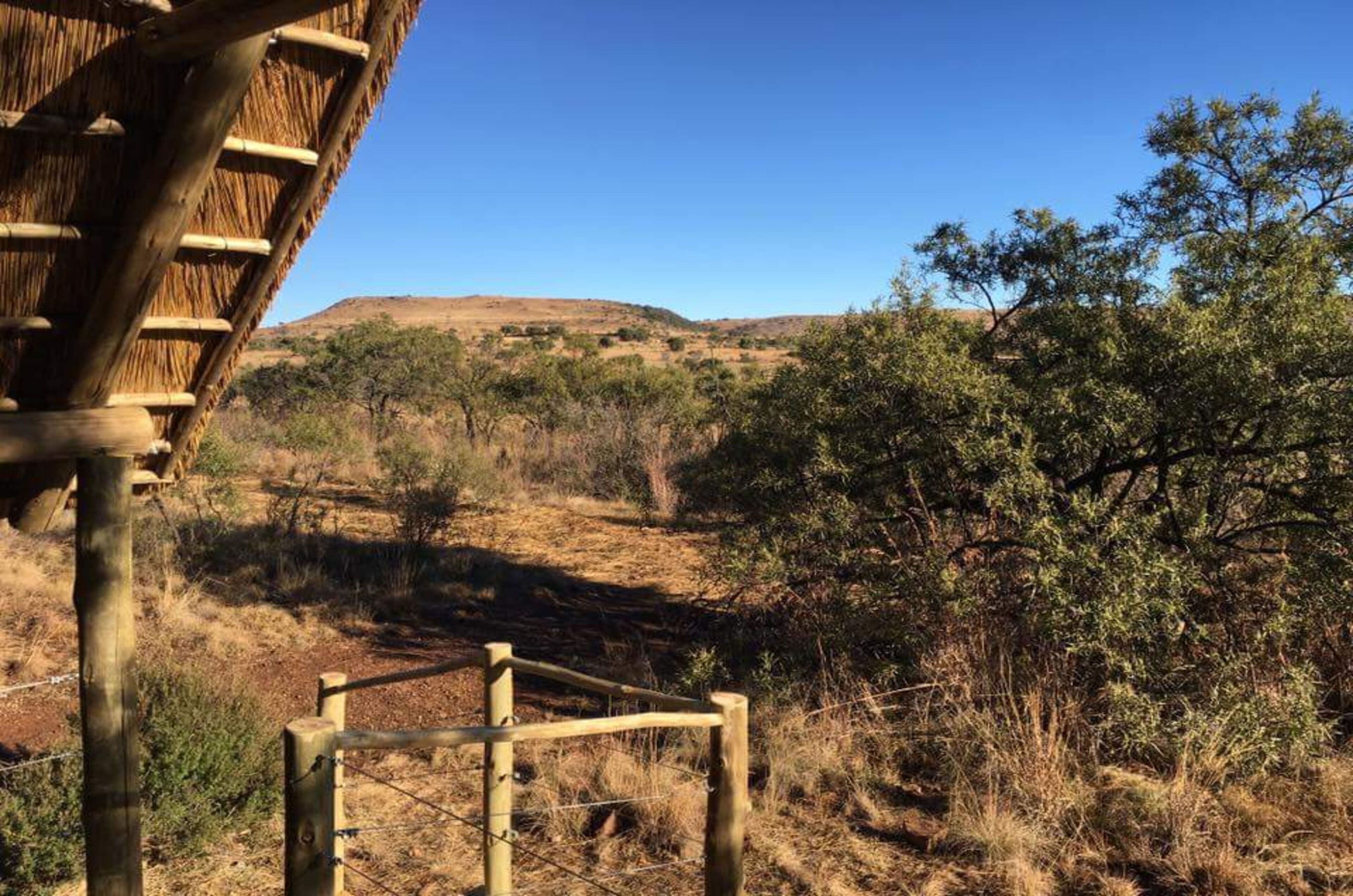 comfort suite (owner's suite) | mountain view