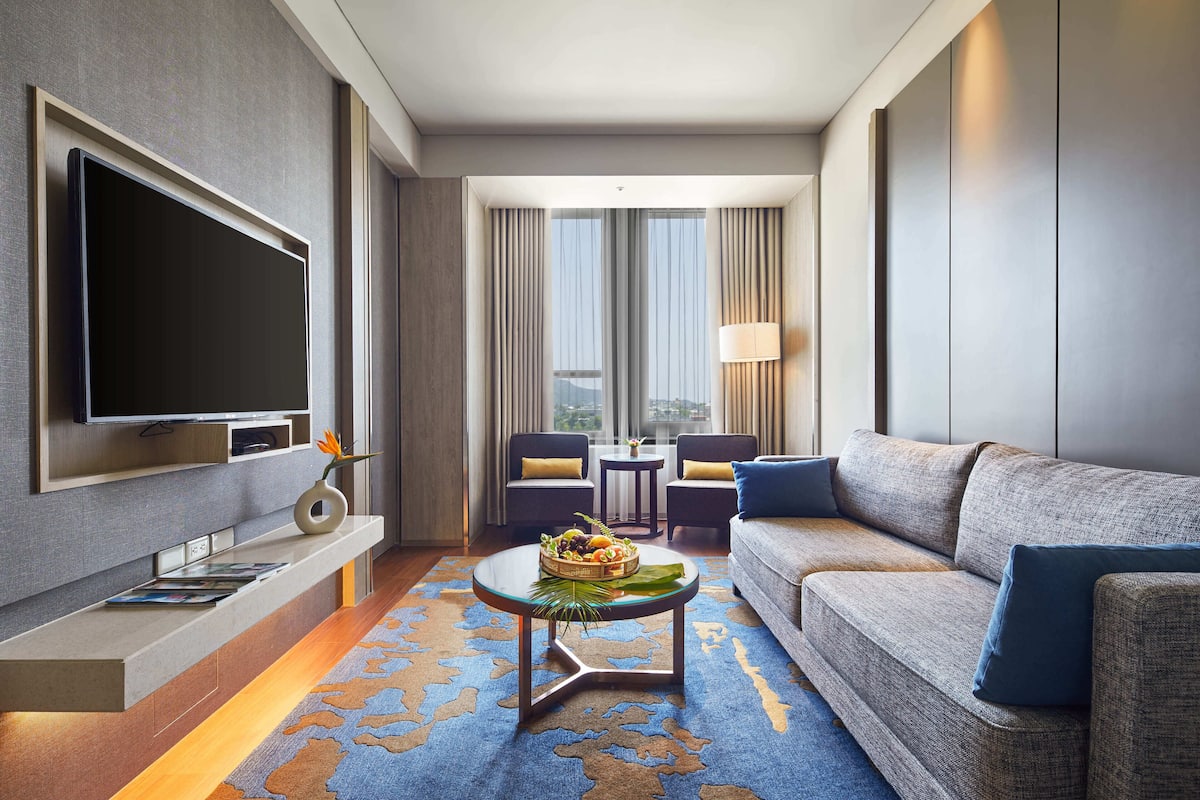 Una habitación de hotel moderna con una televisión de pantalla plana, un sofá, una mesa de centro con una cesta de frutas y vistas a la ciudad a través de grandes ventanales.