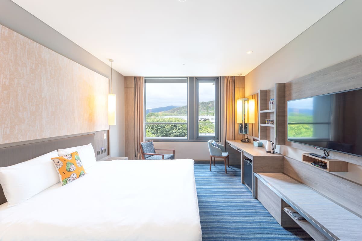 Habitación de hotel con una cama grande, un escritorio, un televisor y vistas al exterior.