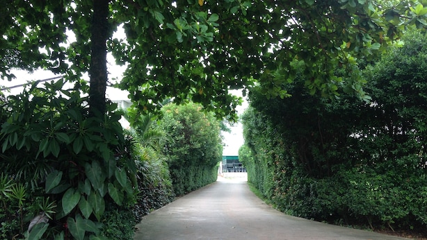 A paved pathway flanked by dense green foliage, leading to a distant building. - Natpob Sleep Station Motel (Chiang Rai)