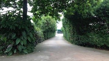 Property grounds