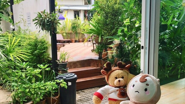 A breakfast table with plates of food, a teddy bear, and a potted plant. - My Chiang Mai Boutique Lodge (Chiang Mai)