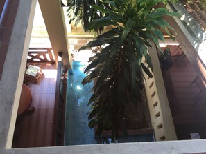 テラス / パティオ